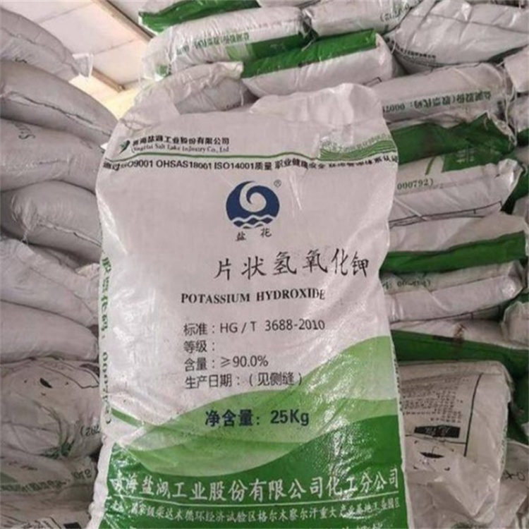欧美大骚B视频在线